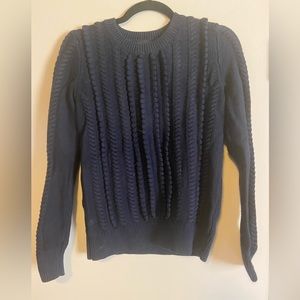 Banana Republic Navy Sweater